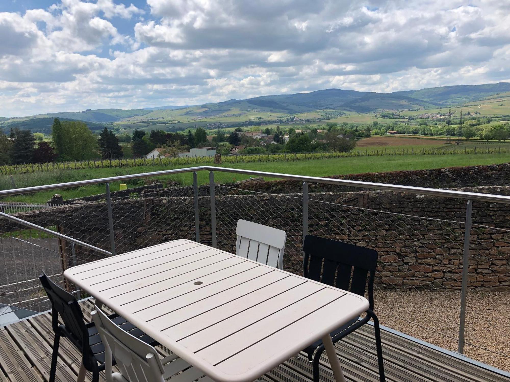 Appartement Contemporain Dans Une Authentique Demeure Viticole Charnay-lès-Mâcon 外观 照片